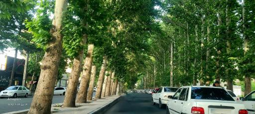 عکس شهریار