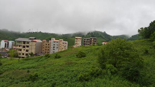 عکس کارخانه چای گلچای