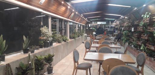 عکس رستوران و کافه سینگل قزل پارک 