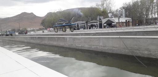 عکس رستوران و کافه سینگل قزل پارک 