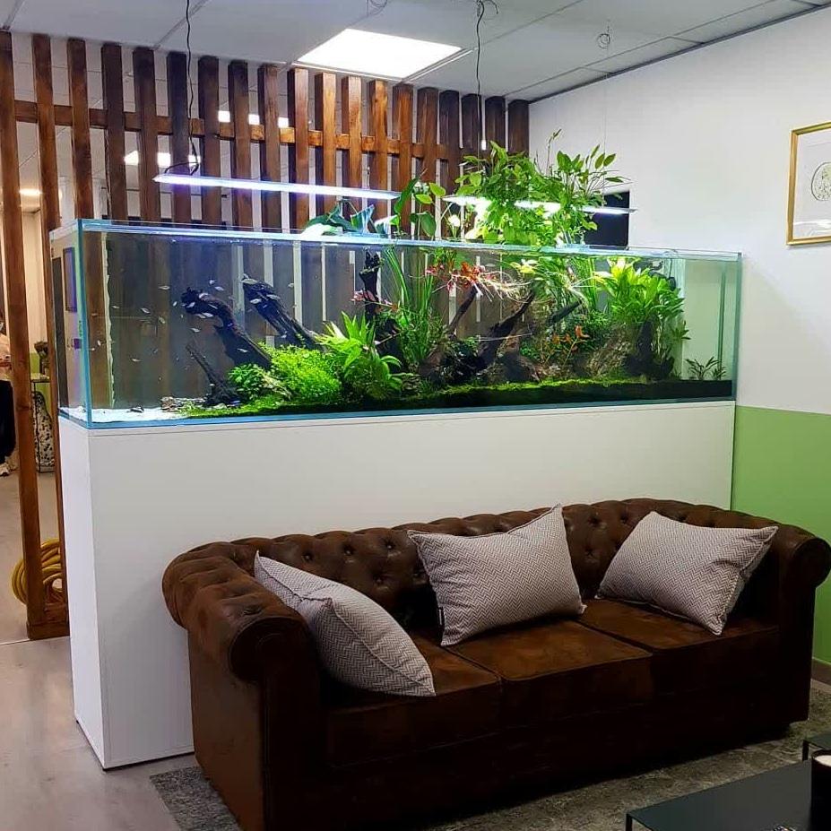 عکس اطلس آکواریوم