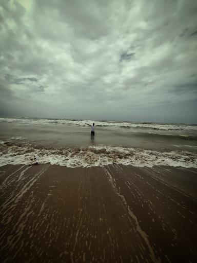 عکس بوستان و ساحل تفریحی دلوار