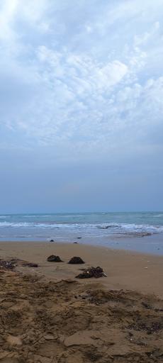 عکس بوستان و ساحل تفریحی دلوار