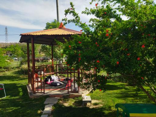 عکس بوستان نیروی هوایی