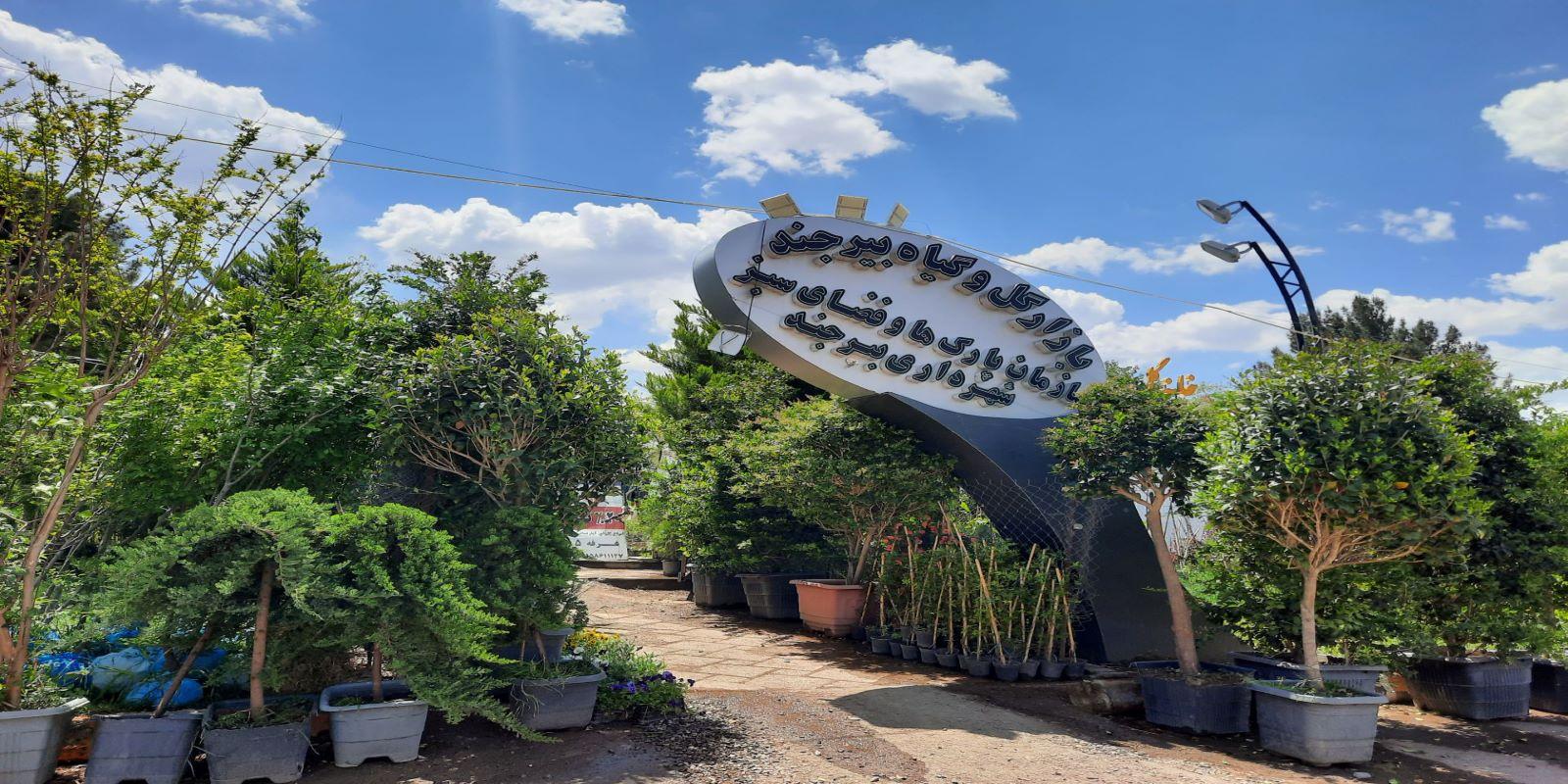 عکس گلخانه من