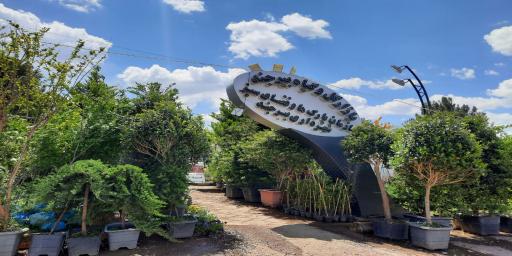 عکس گلخانه من