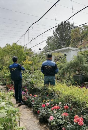 عکس گلخانه من