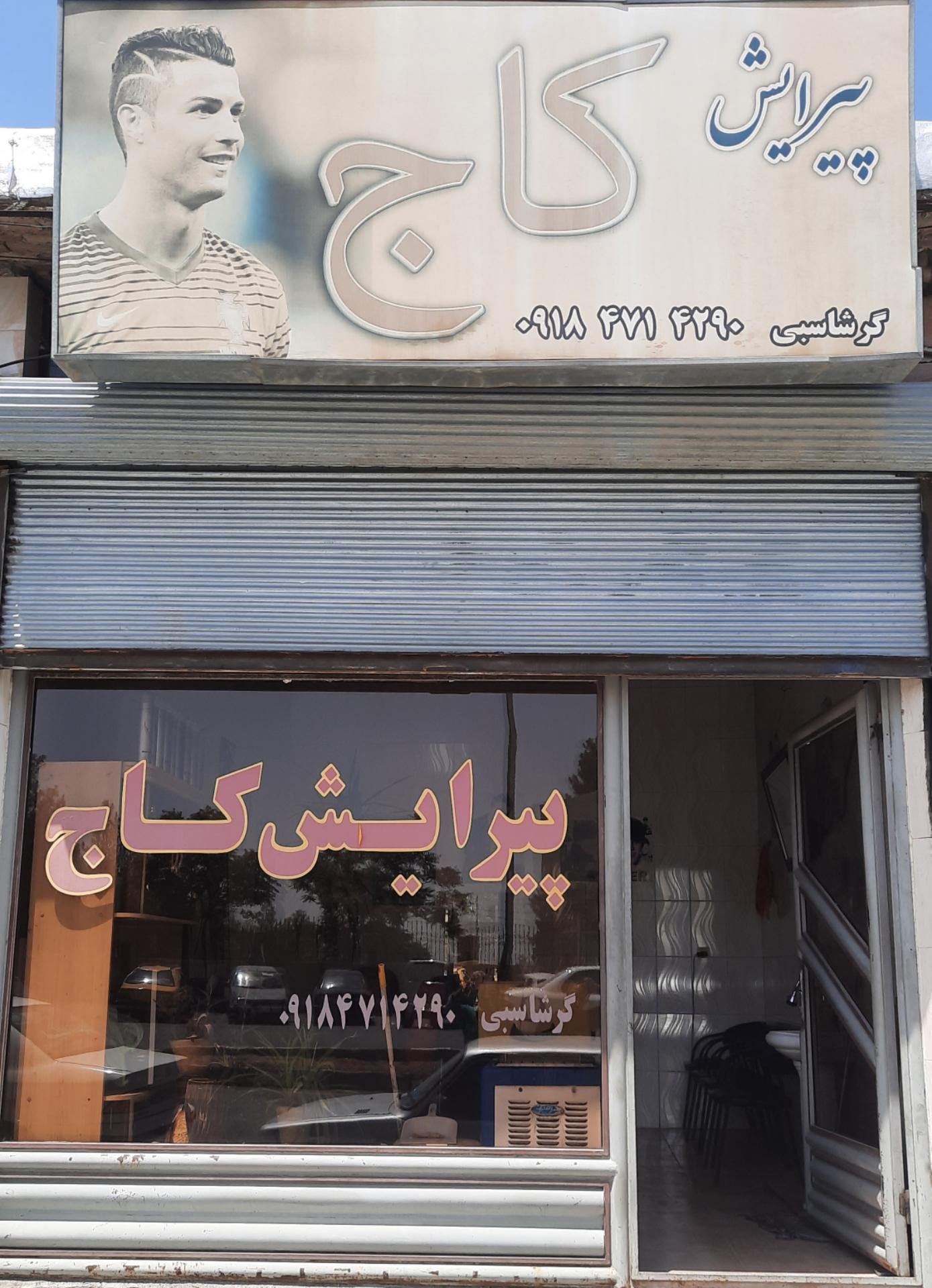 عکس پیرایش کاج