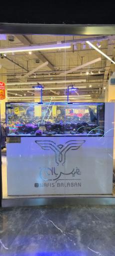 عکس اطلس آکواریوم