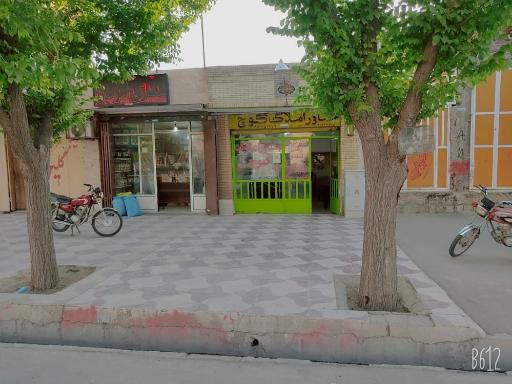 مشاور املاک کوچ سعید شادیانی