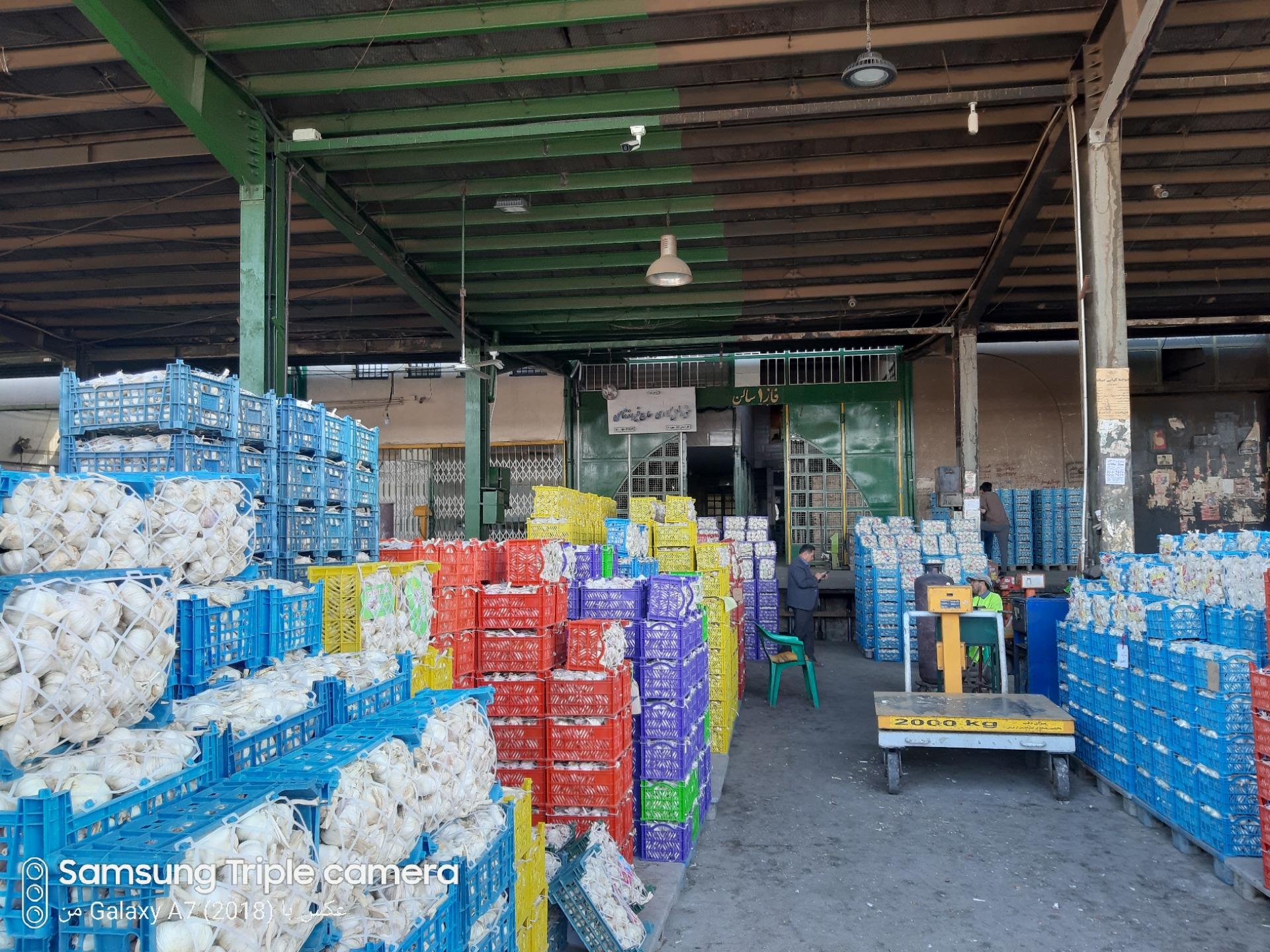 عکس سیر فروشی