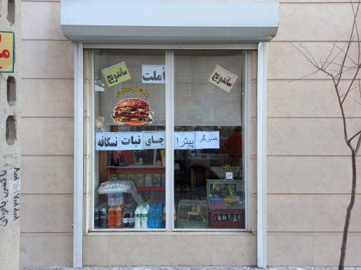 عکس پیتزا ساندویچ دانشجو