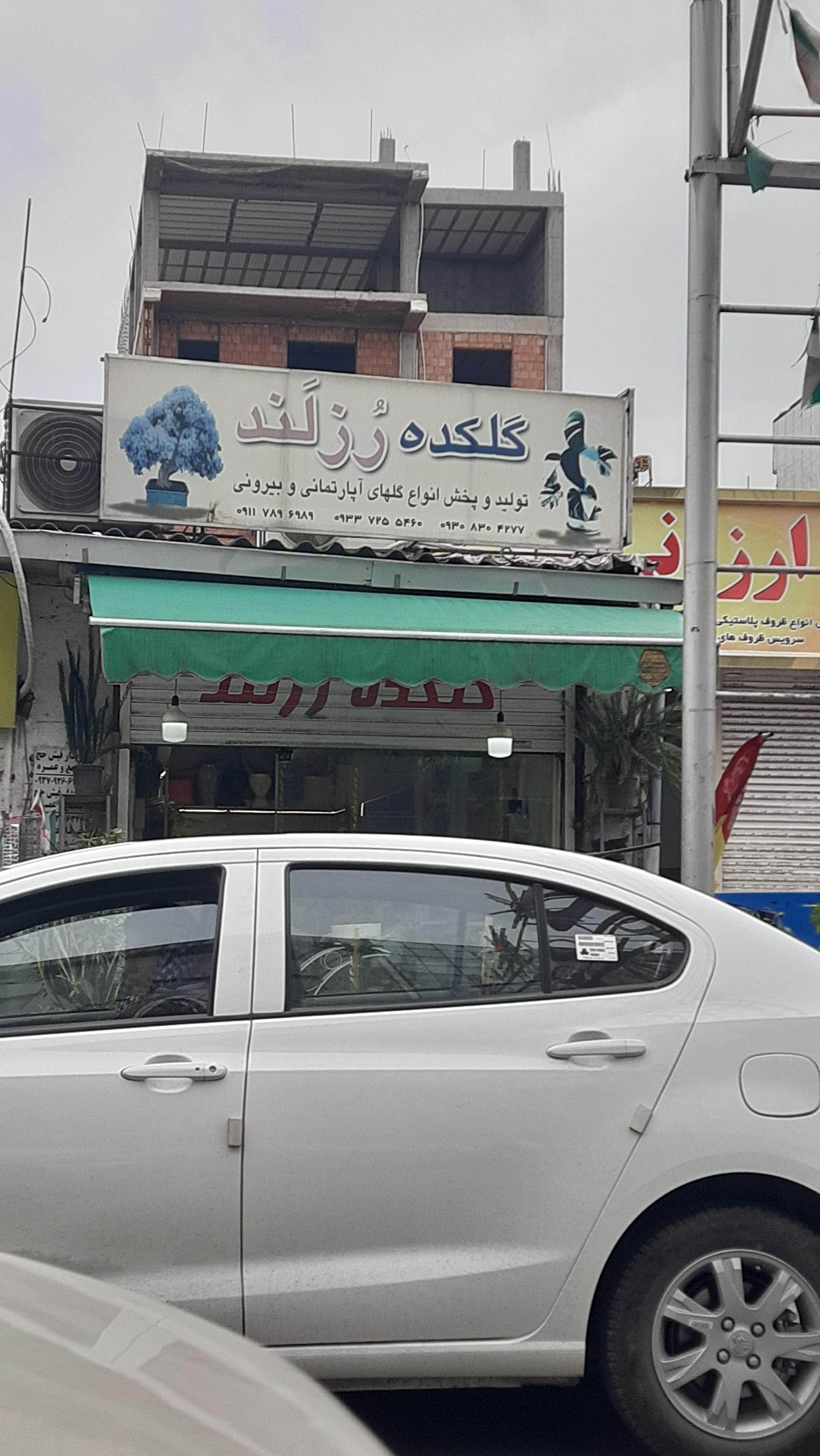 عکس گلکده رزلند