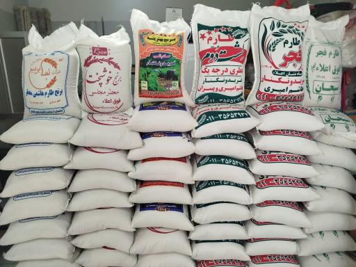 عکس برنج سرای رایان