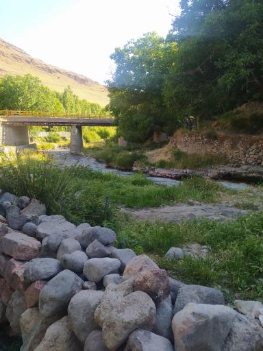 عکس قرمزی گل