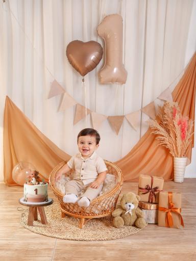 عکس استودیو حرفه ای کاج نقره ای