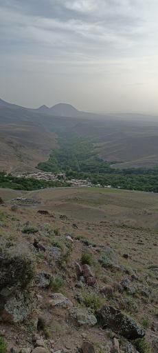 قرمزی گل