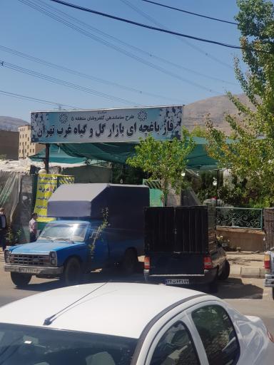 عکس گل پارادایس