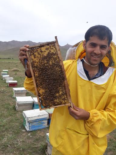 عکس عسل فروشی خیرالهی 