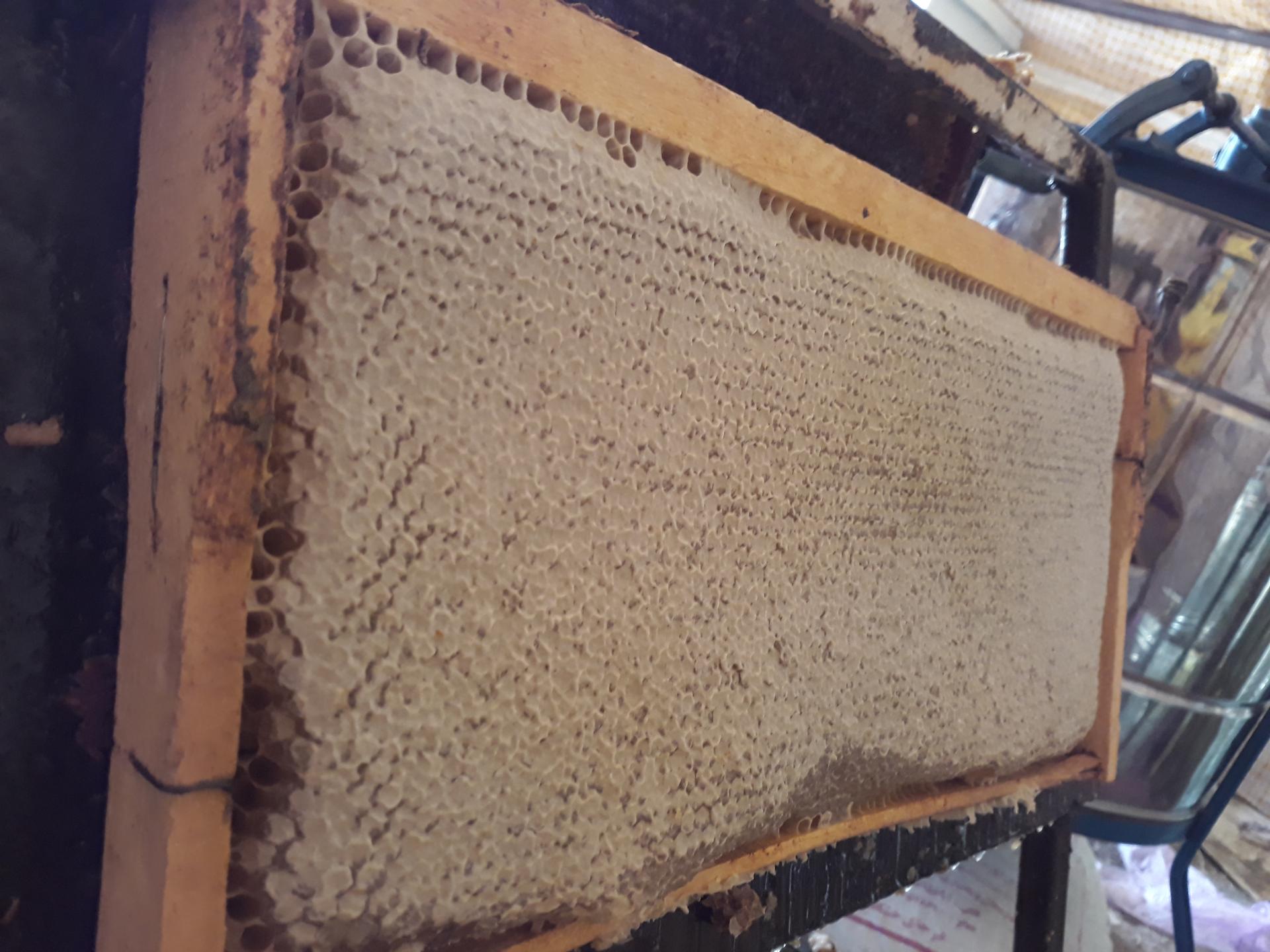 عکس عسل فروشی خیرالهی 