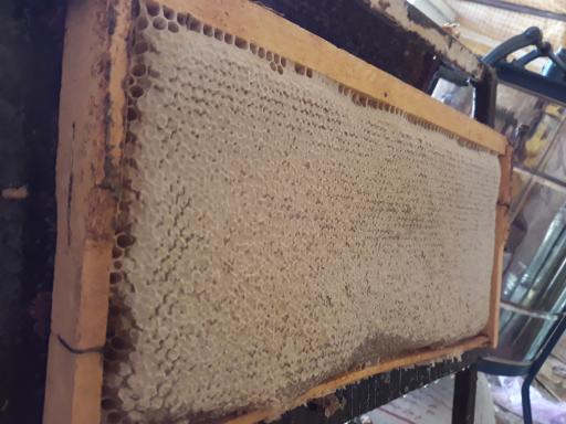 عکس عسل فروشی خیرالهی 