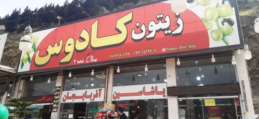 عکس زیتون کادوس