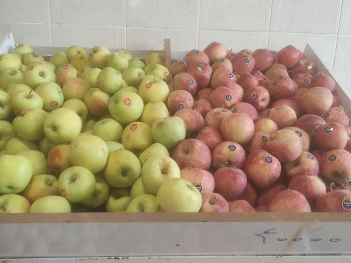 عکس میوه تره بار رامین