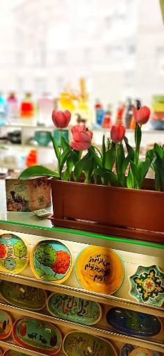 عکس هنر خانه سپیدار