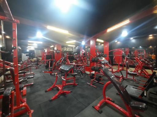 عکس باشگاه بدنسازی افشین