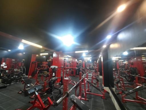 عکس باشگاه بدنسازی افشین