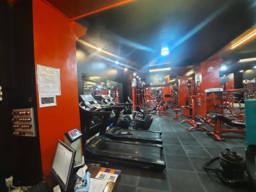 عکس باشگاه بدنسازی افشین