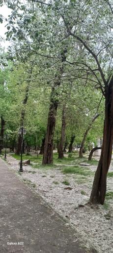 عکس بوستان ملت