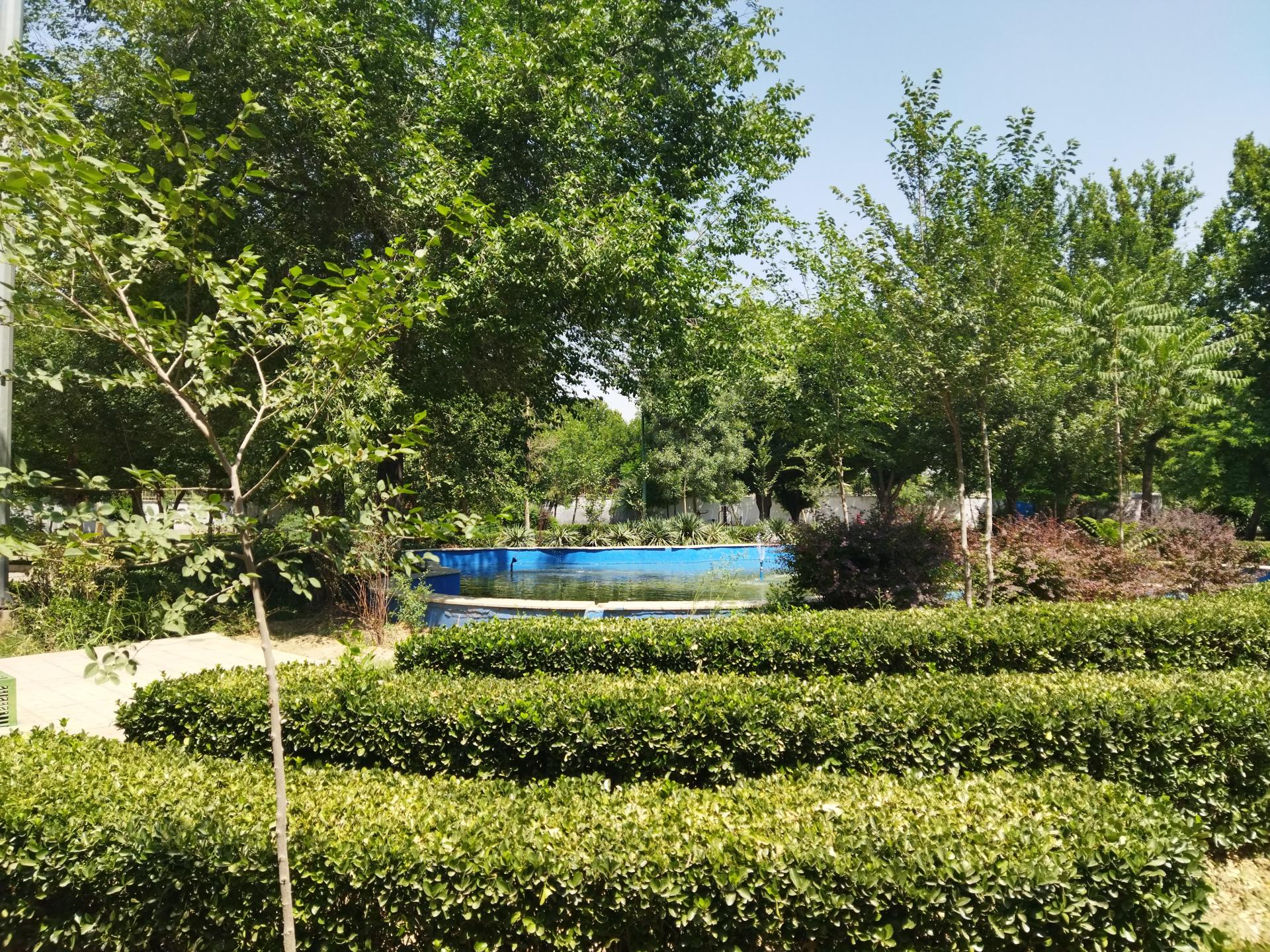 عکس آبنمای بوستان صنوبر