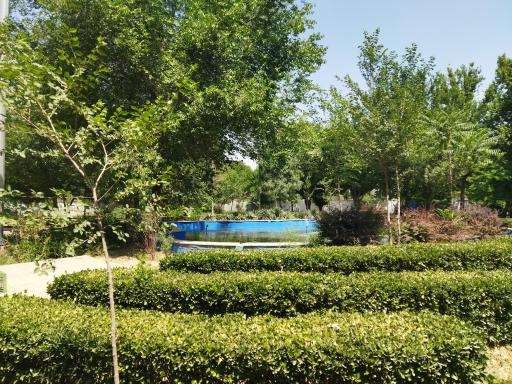 عکس آبنمای بوستان صنوبر