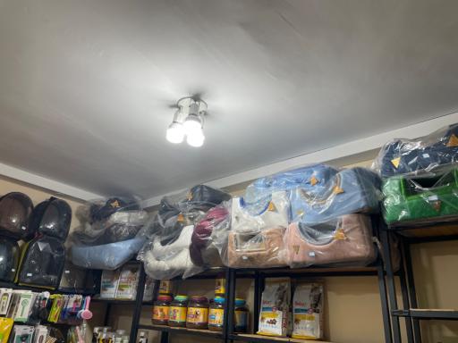 پت شاپ هاپ لند