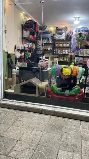 پت شاپ هاپ لند