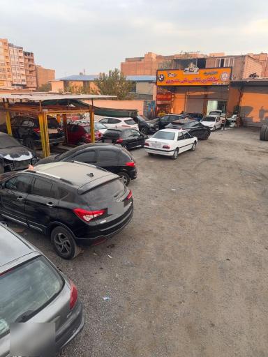 عکس صافکاری علی منصوری