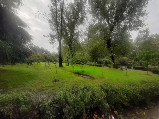 عکس بوستان ملت