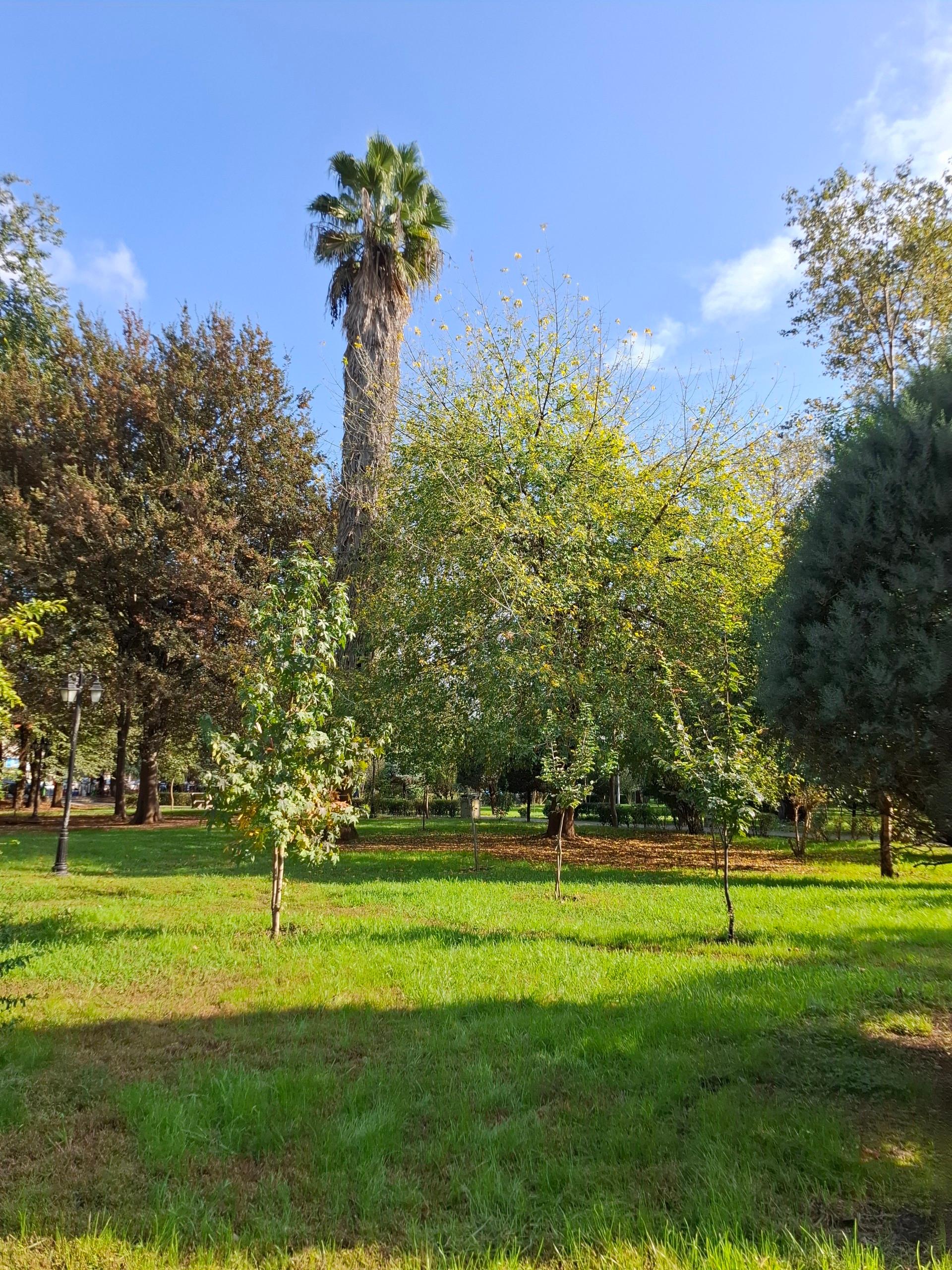 عکس بوستان ملت