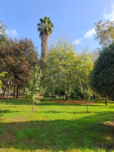 عکس بوستان ملت