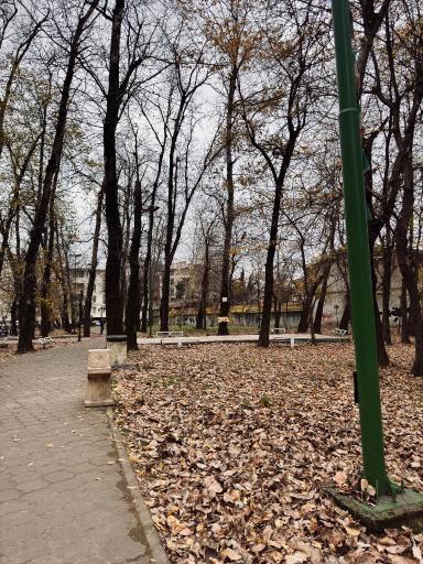 عکس بوستان ملت