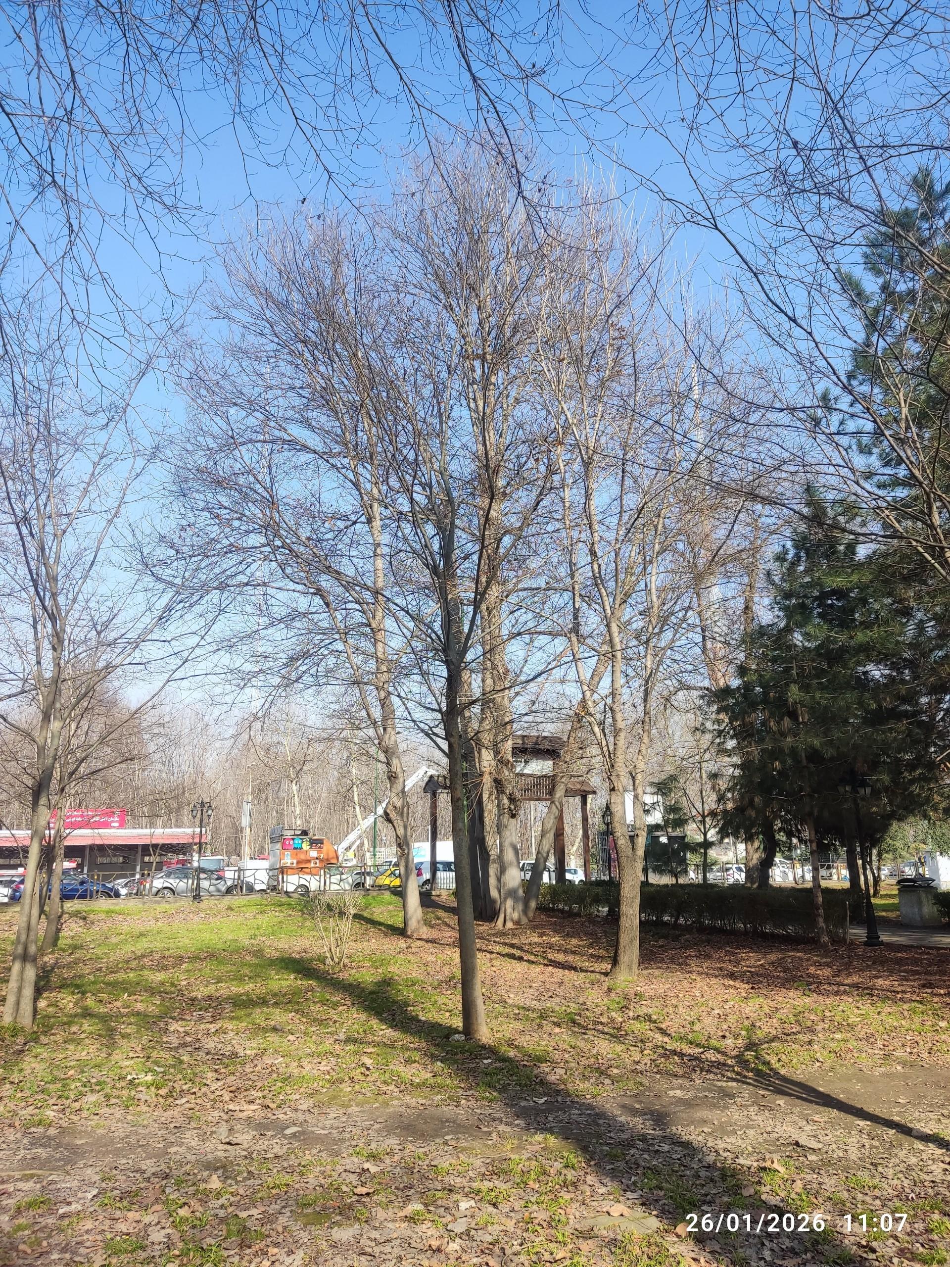 عکس بوستان ملت