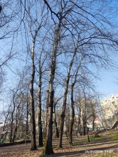 عکس بوستان ملت