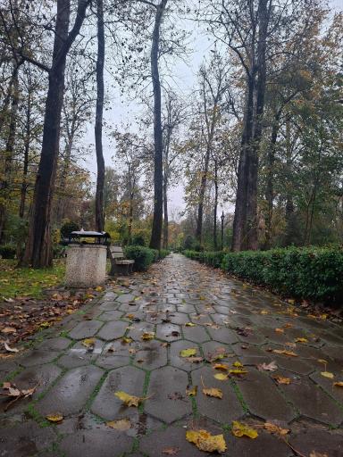 عکس بوستان ملت