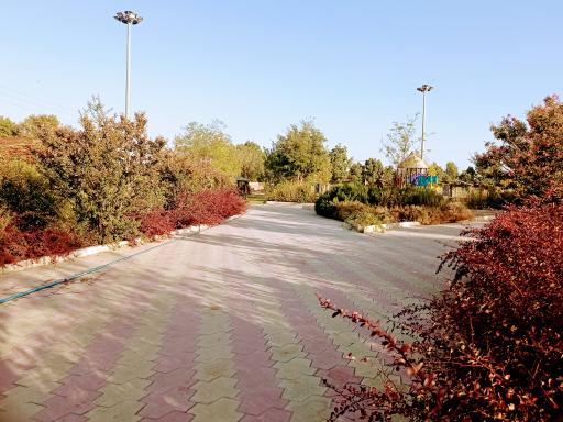 عکس بوستان صدف