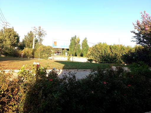 عکس بوستان صدف