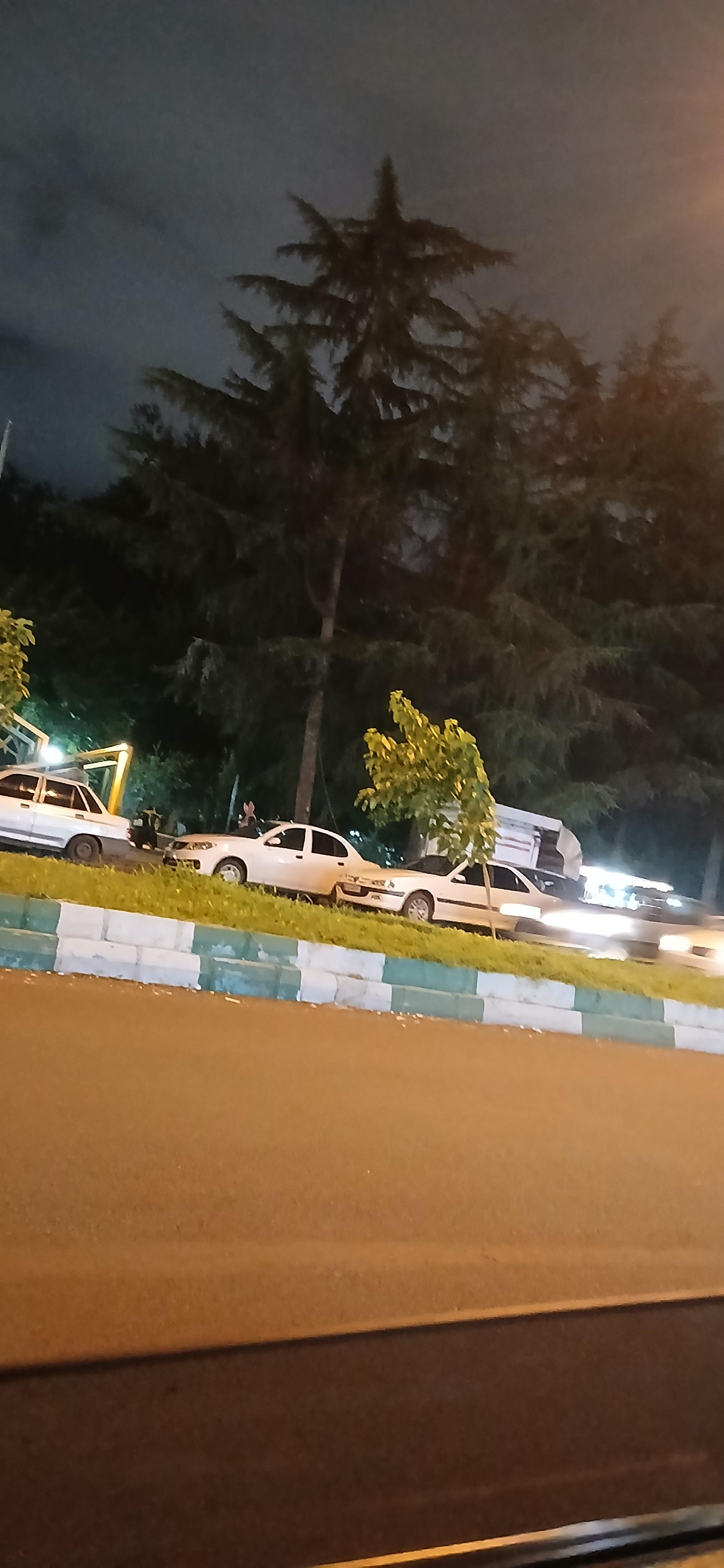 عکس بوستان ملت