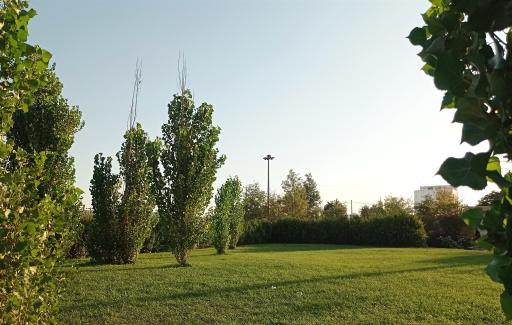 عکس بوستان صدف