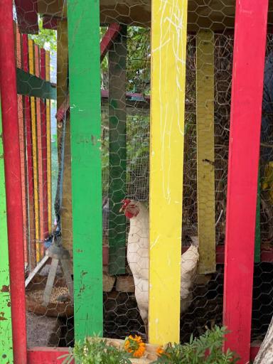 عکس موسسه خلاقیت کودک و نوجوان اندیشه کیان