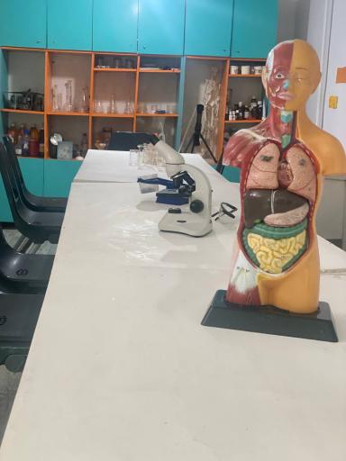 عکس موسسه خلاقیت کودک و نوجوان اندیشه کیان